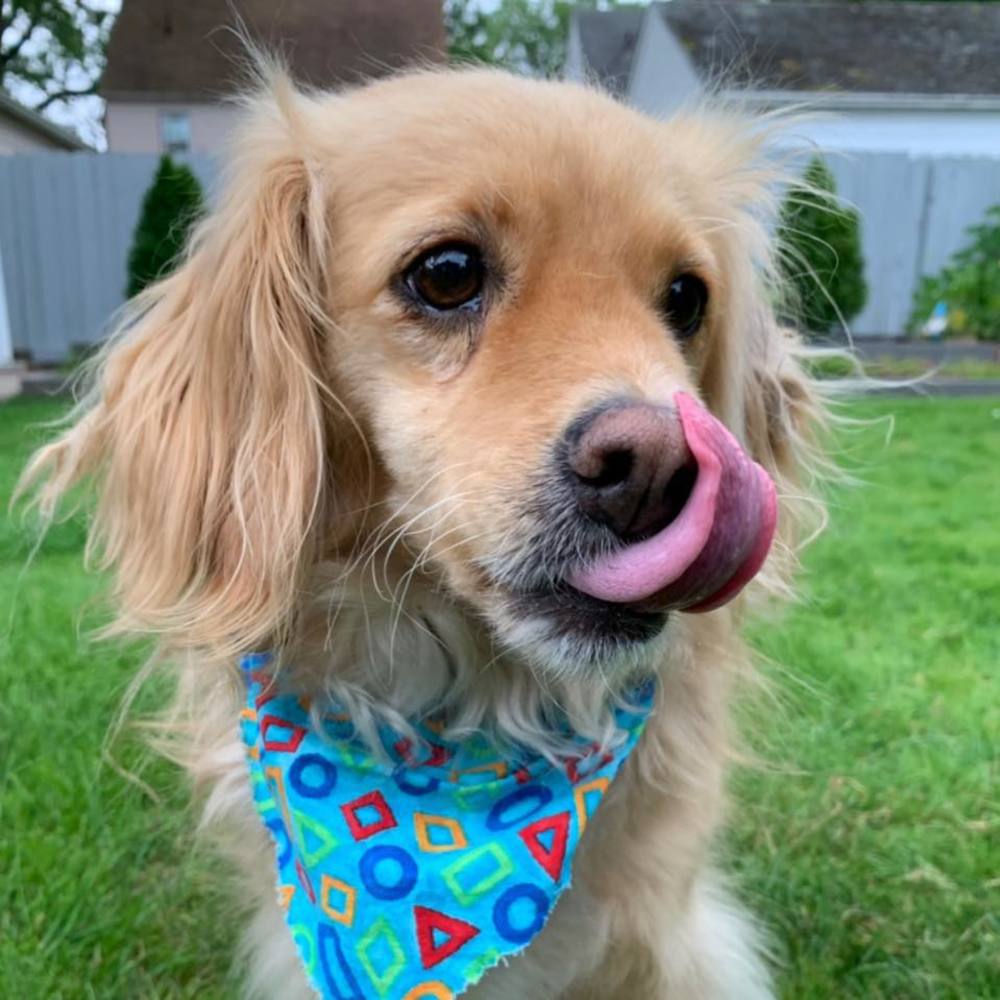 Meet your Posher, Michaela